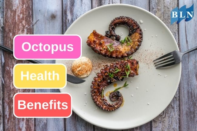Here Is 5 Health Benefits From Eating Octopus